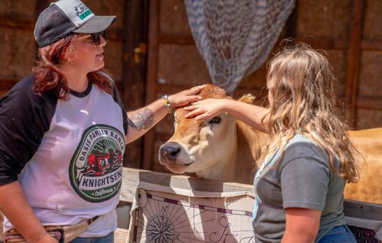 Girl petting a cow